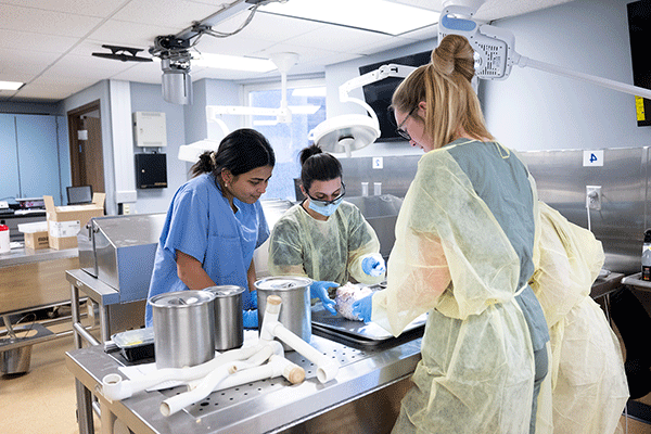 Four students of mixed races are dressed in blue scrubs and yellow surgical robes. They’re in a medical lab and they are looking at a brain on the surgical table to the mannequin.